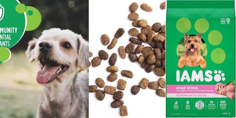 IAMS Small Breed Adult Dry Dog Food