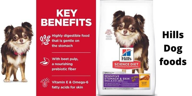 Hill's Science Diet Dry Dog Food