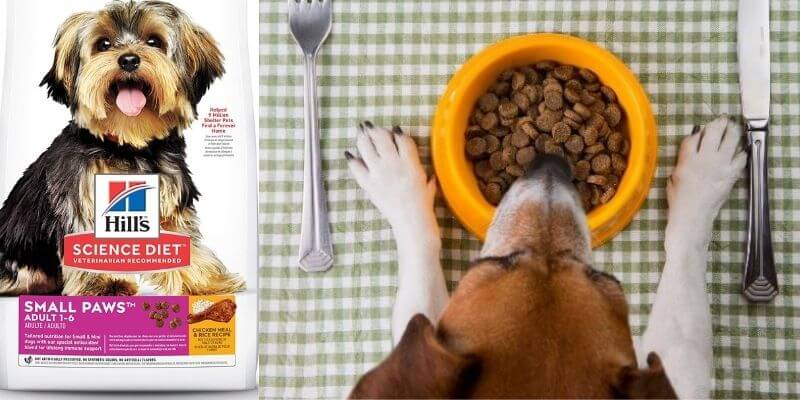 Hill's Science Diet Dry Dog Food