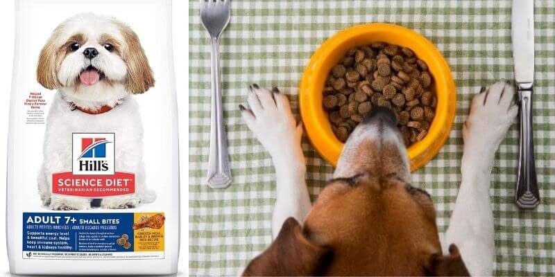 Hill's Science Diet Dry Dog Food