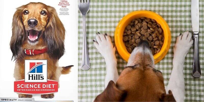 Hill's Science Diet Dry Dog Food