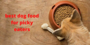 best dog food for picky eaters