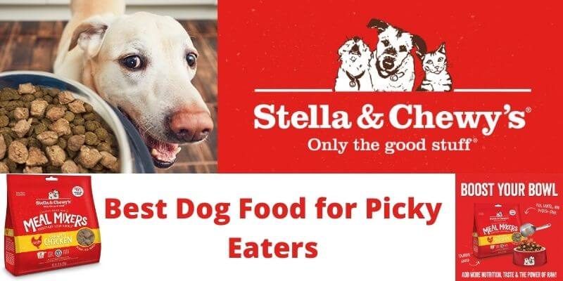 Dog Food for picky eaters