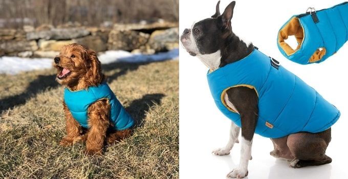 Gobby Padded Dog Vest