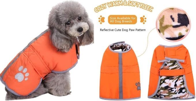 Queenmore Cold Weather Dog Coats