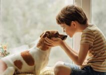 How to Take Care of a Dog Follow the Best way to Care your Dog