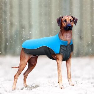 Didog Reflective Dog Winter Coat