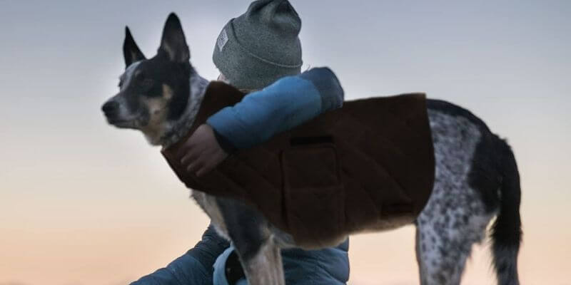 Embark Pets Wax Dog Jacket