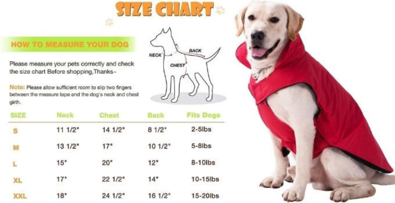 Top 10 Best Luv Gear Dog Jacket & Dog Jackets theoutdor