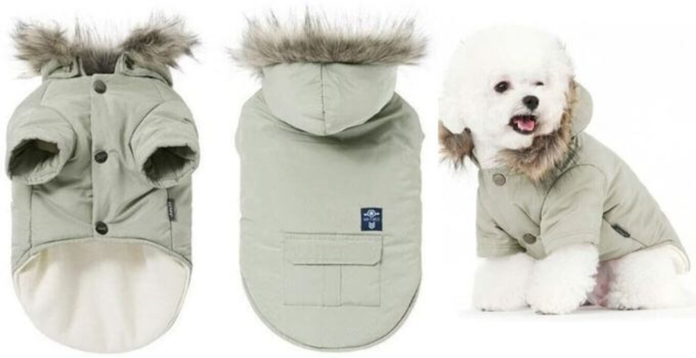 Top 10 Best Luv Gear Dog Jacket & Dog Jackets theoutdor