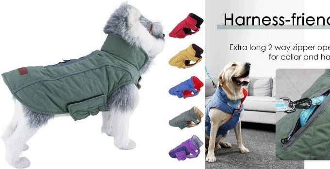ThinkPet Warm Reversible Dog Coat