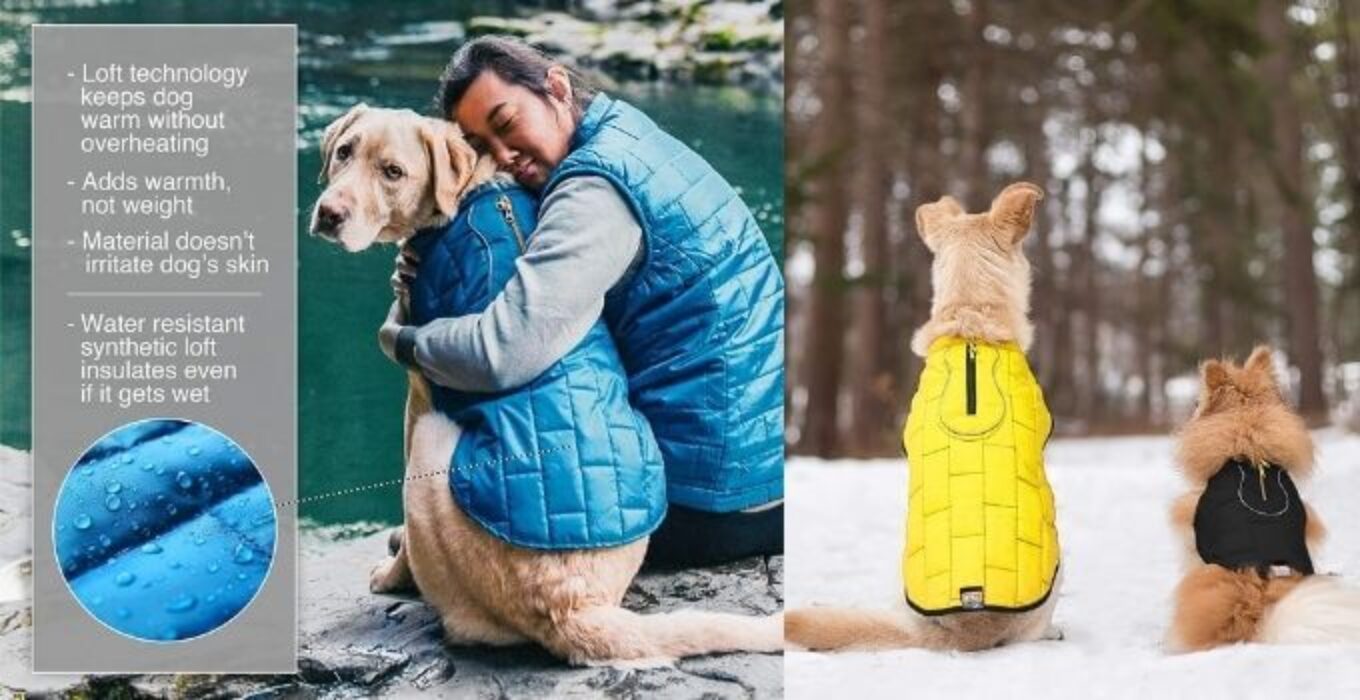Top 10 Best Luv Gear Dog Jacket & Dog Jackets theoutdor