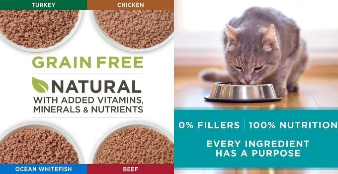 Purina ONE High Protein Natural Wet Cat Food