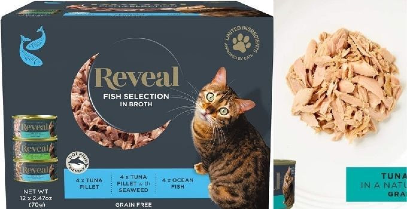 The 10 Best Senior Cat Food Wet in 2024 theoutdor