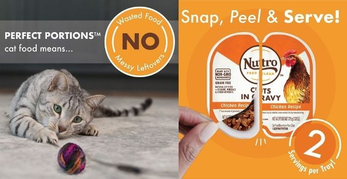 Nutro Perfect Portions Grain-Free Natural Wet Cat Food