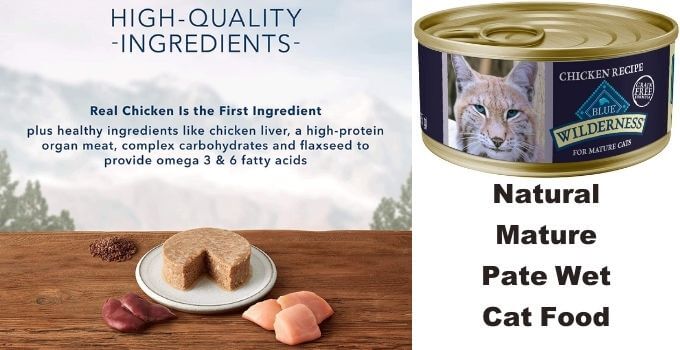 Blue Buffalo Wilderness High Protein Best Senior Cat Food Wet