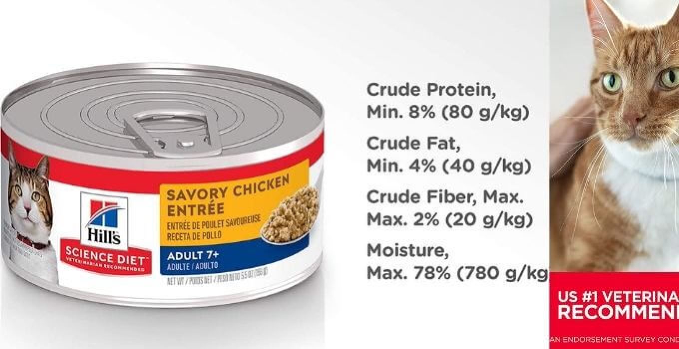 The 10 Best Senior Cat Food Wet in 2024 theoutdor