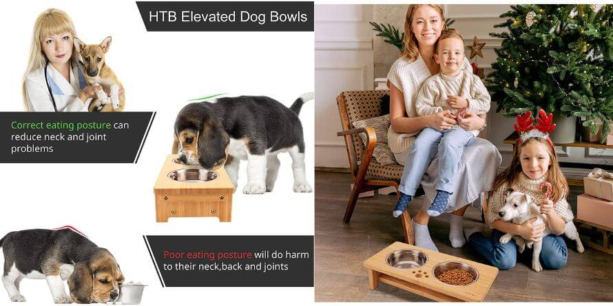Elevated Dog Bowls
