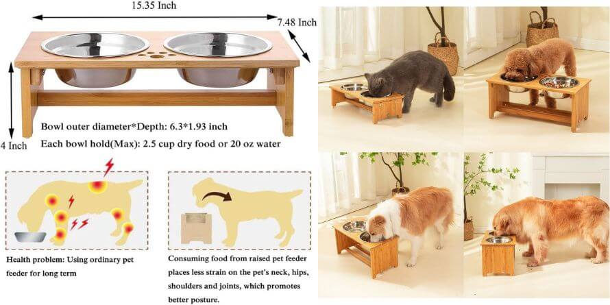 Raised Pet Bowls for Cats & Dogs