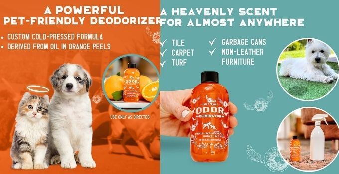 Angry Orange Pet Odor Eliminator