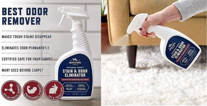 Biokleen Bac-Out Stain Remover