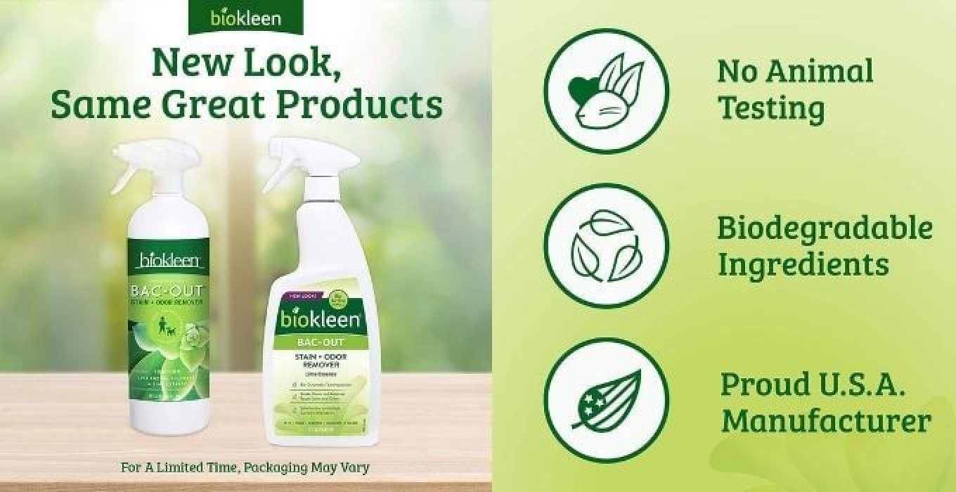 The 10 Best Carpet Cleaning Solution for Pet Urine