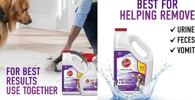 Hoover Paws and Claws Cleaning Carpet Shampoo