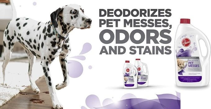 Professional Strength Pet Odor Eliminator