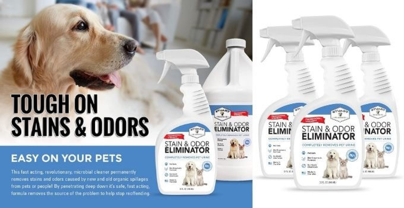 The 10 Best Carpet Cleaning Solution for Pet Urine