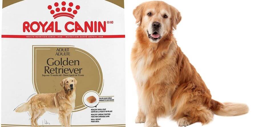 Royal Canin Golden Retriever Adult Dry Dog Food