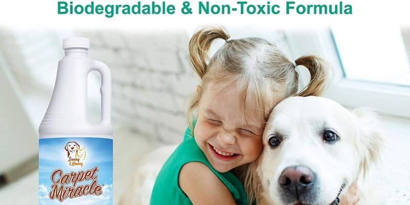 the-10-best-carpet-cleaning-solution-for-pet-urine