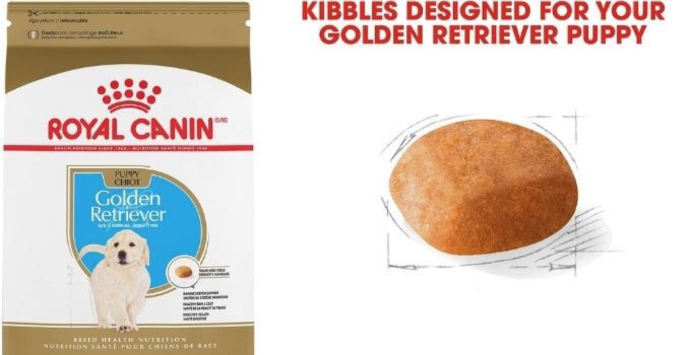 Top 6 Best Retriever High Protein Dog Food Reviews