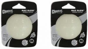  ChuckIt! Max Glow Ball, Medium