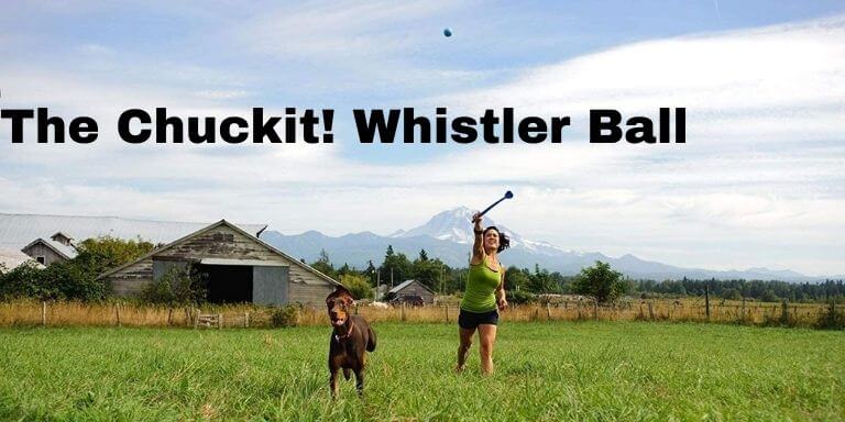 The Chuckit! Whistler Ball