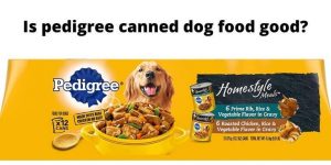 Is pedigree canned dog food good