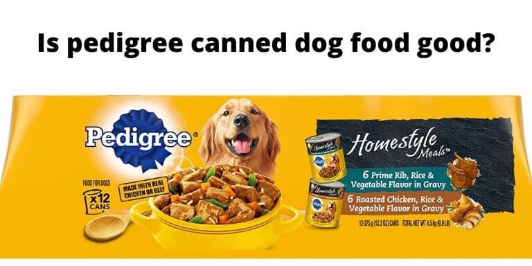 are canned foods bad for dogs