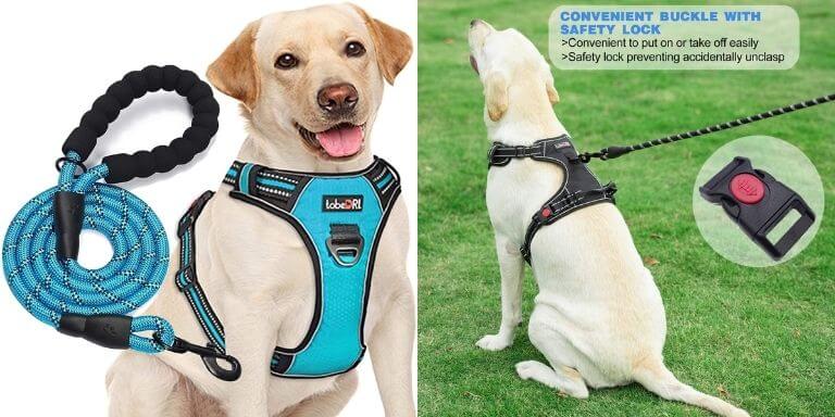 best dog harness for swimming