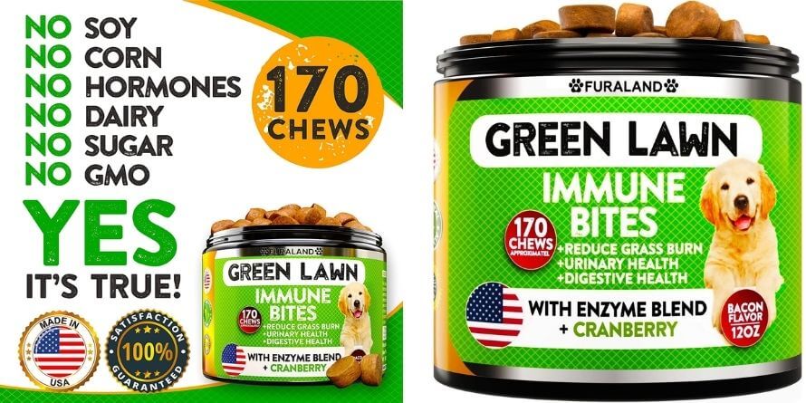 _Grass Burn Spot Chews for Dogs