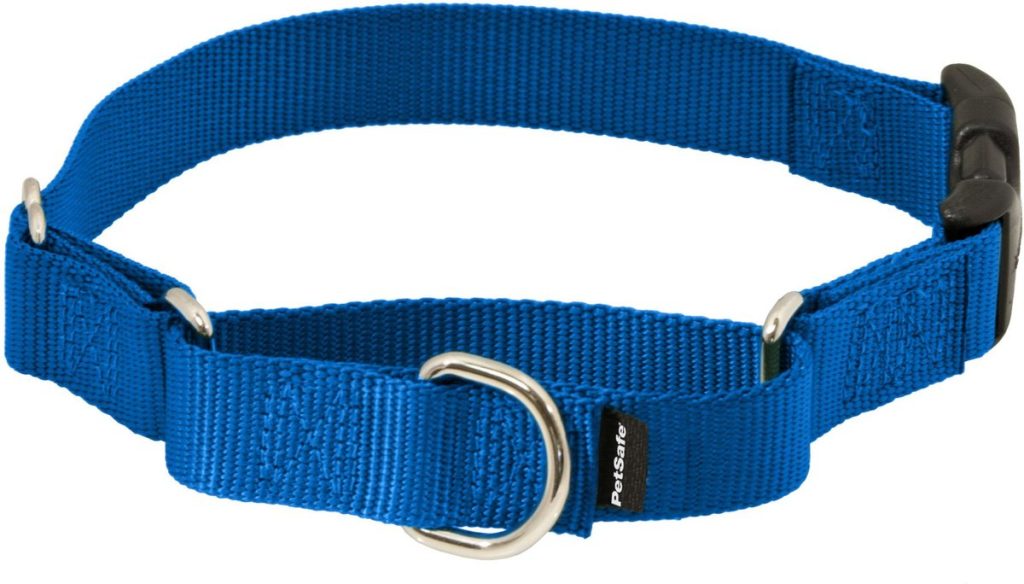 Best Dog Collar to Prevent Matting Top 8 Picks