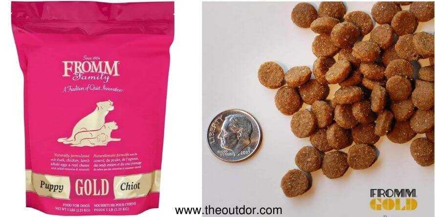 Fromm puppy gold dry dog food