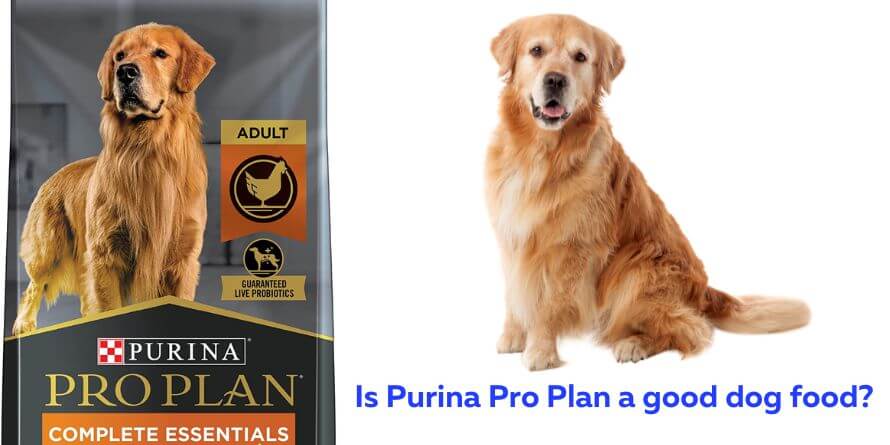 Is Purina Pro Plan a good dog food