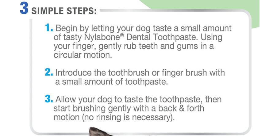 best dog toothbrush and paste