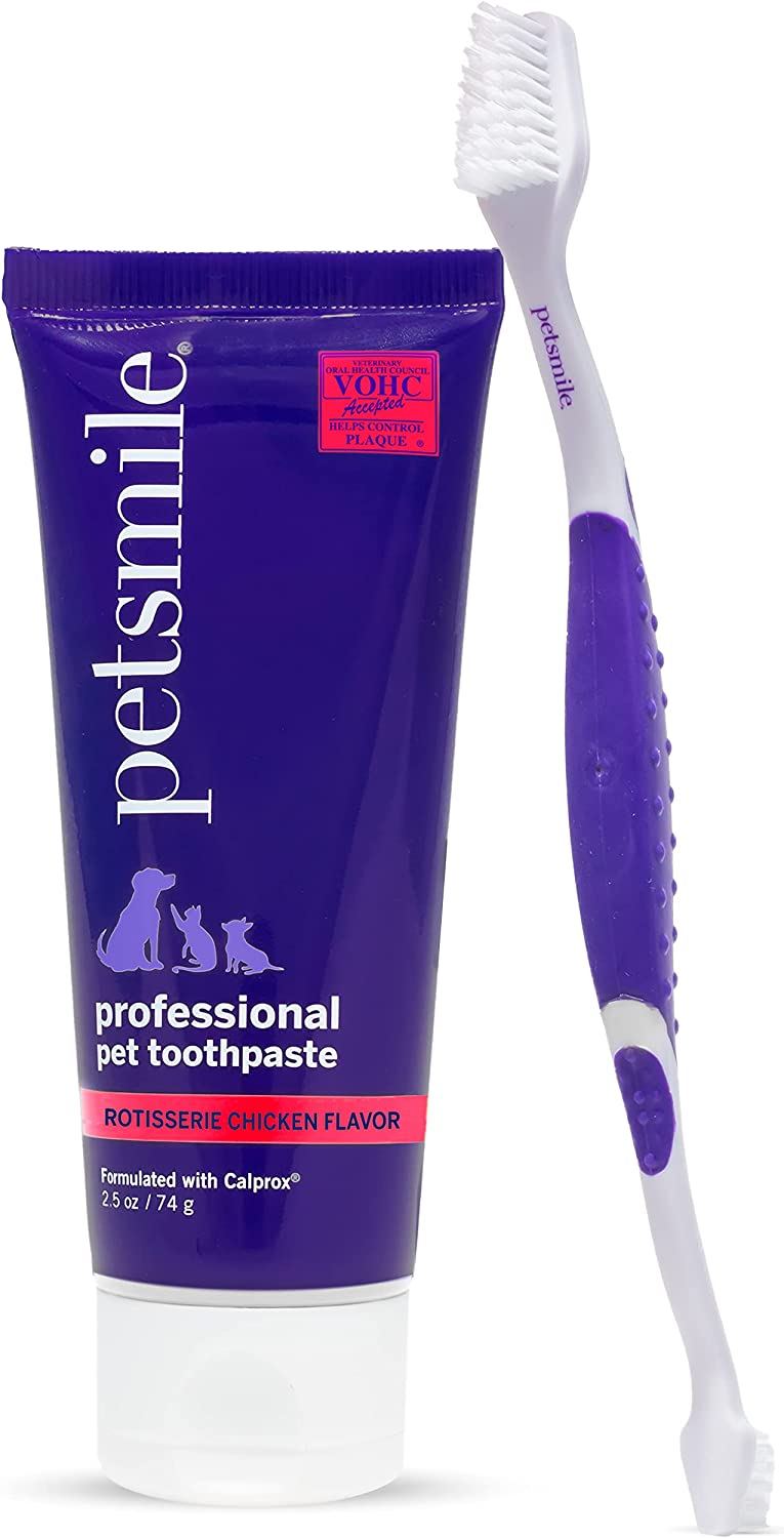What is the Best Dog Toothbrush and Toothpaste theoutdor