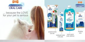 what is the best dog toothbrush and toothpaste