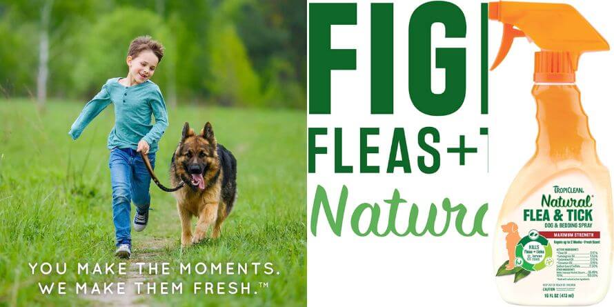 tropiclean natural flea and tick