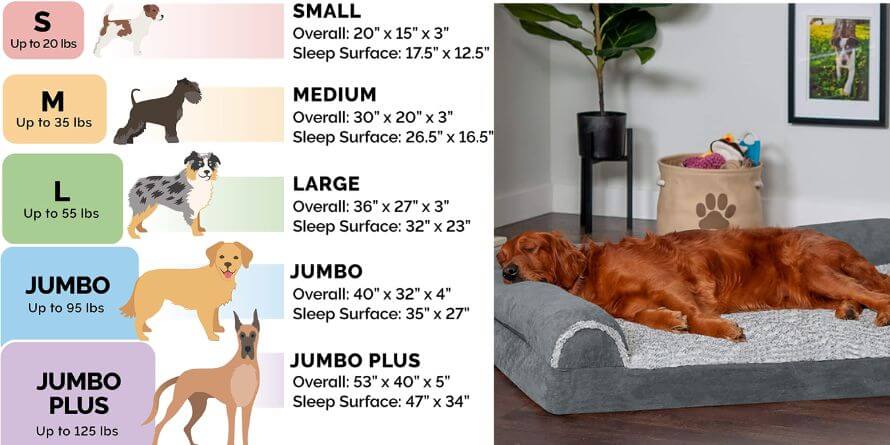 dog beds for small
