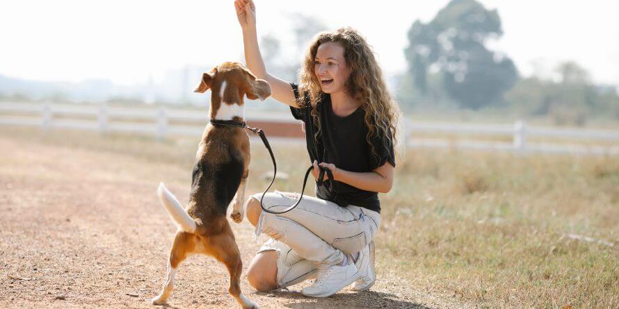 dog treats for small dogs