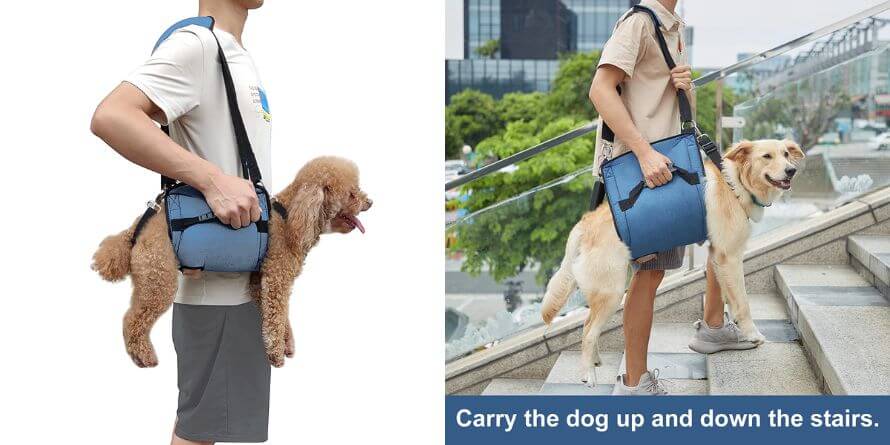 dog carry sling