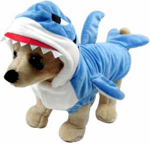 Dog Cat Shark
