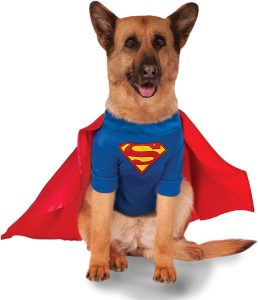 Superman dog costume